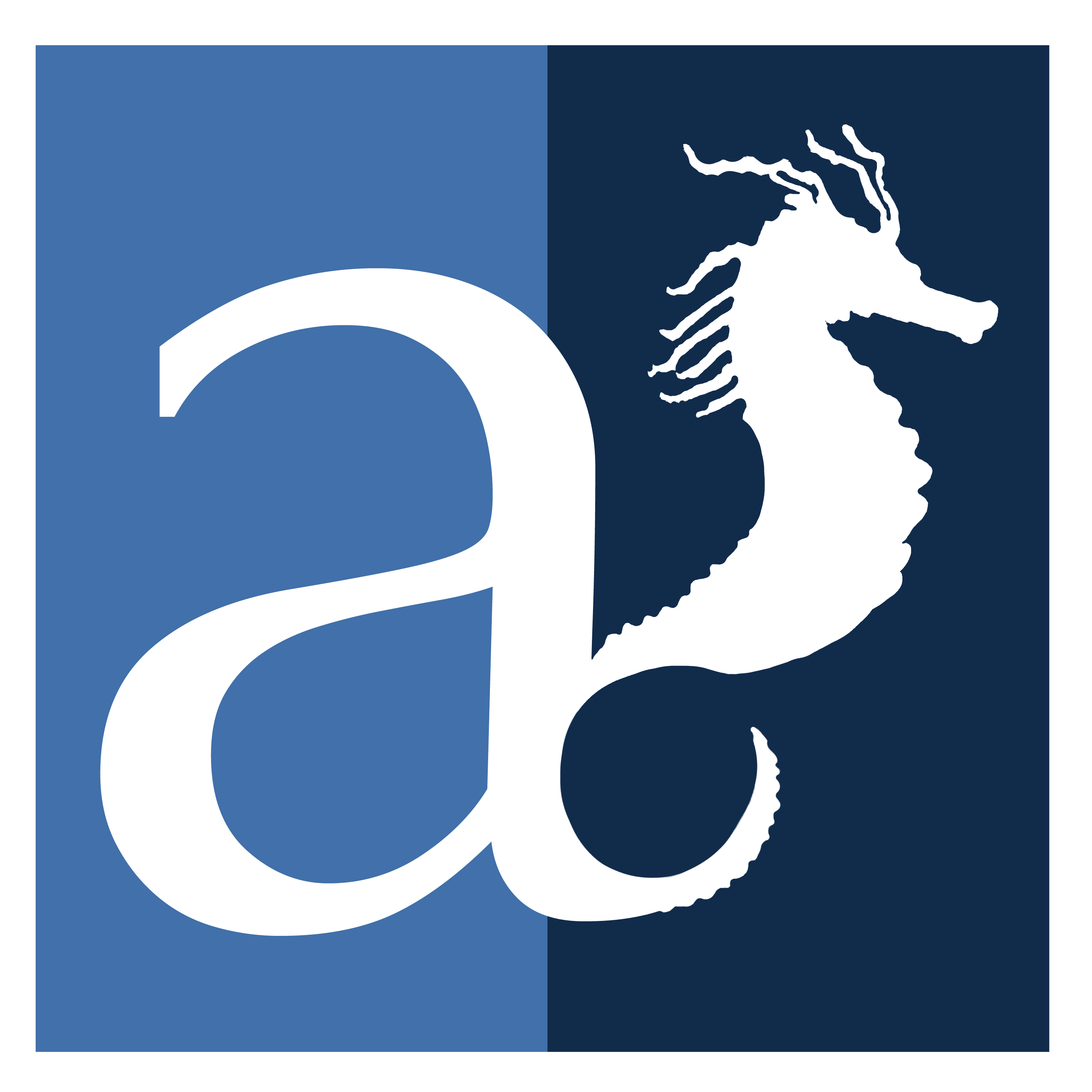 Alexson Solutions Logo